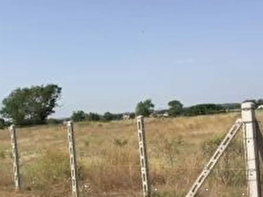 Immagine 6 di Terreno agricolo in vendita  in Via Danimarca a Pomezia