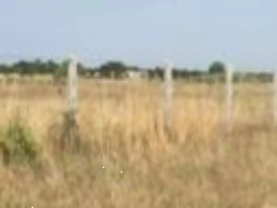 Immagine 7 di Terreno agricolo in vendita  in Via Danimarca a Pomezia