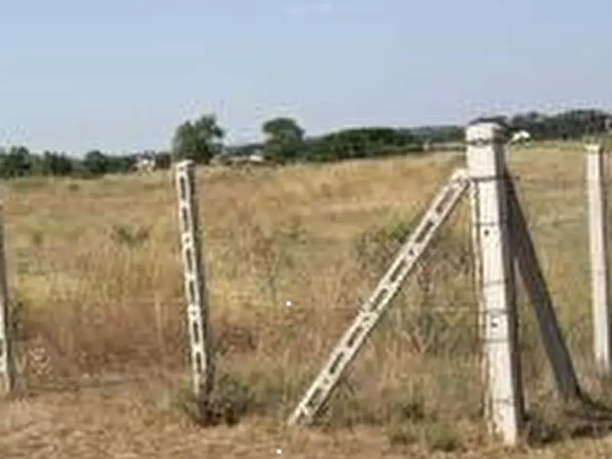 Immagine 8 di Terreno agricolo in vendita  in Via Danimarca a Pomezia