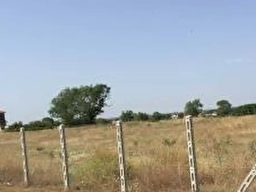 Immagine 9 di Terreno agricolo in vendita  in Via Danimarca a Pomezia