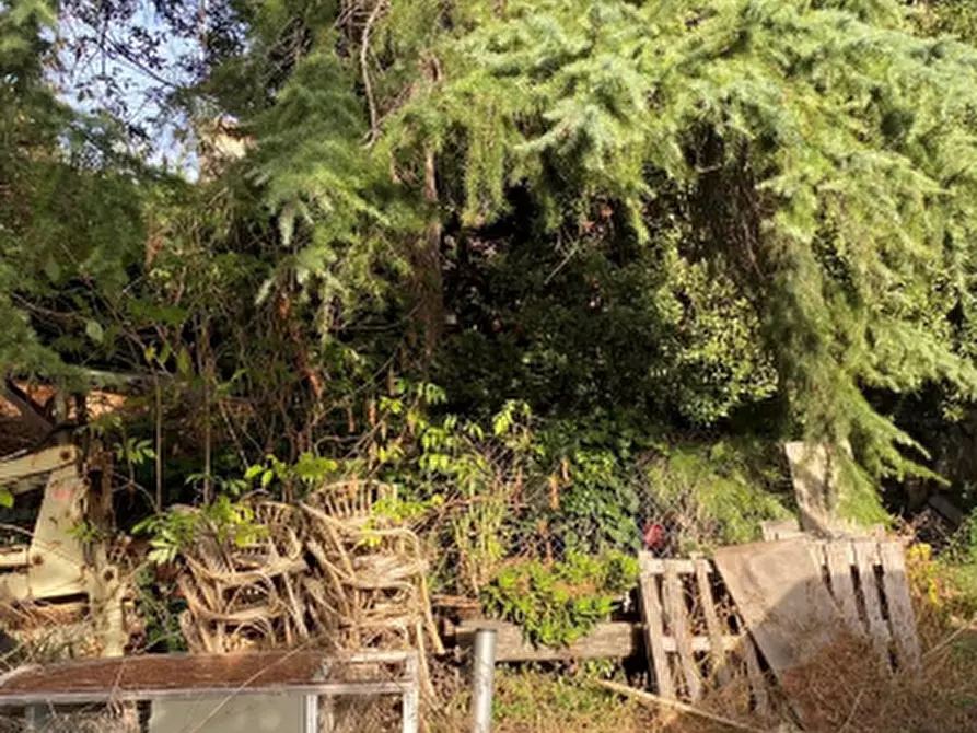 Immagine 14 di Villa in vendita  in Via delle Mole a Albano Laziale