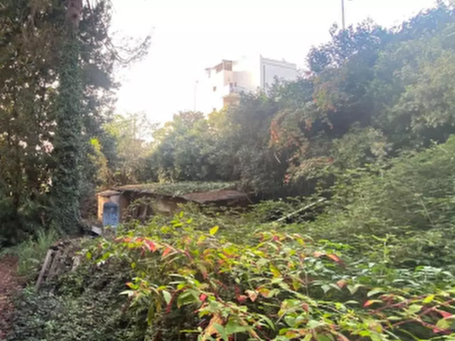 Immagine 15 di Villa in vendita  in Via delle Mole a Albano Laziale