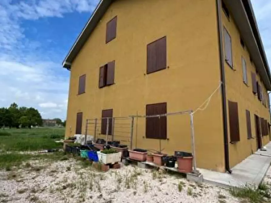 Immagine 5 di Casa indipendente in vendita  in Via Zambone a Quistello