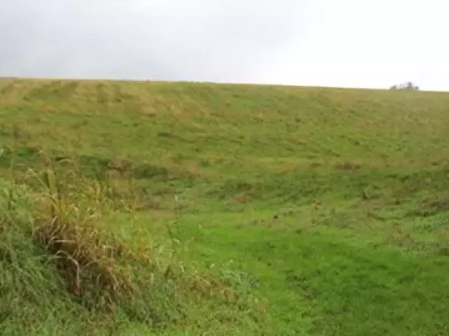 Immagine 2 di Magazzino in vendita  in Contrada Barco a Roverè Veronese