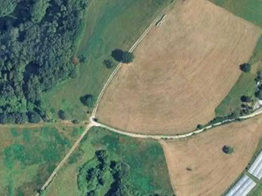 Immagine 8 di Magazzino in vendita  in Contrada Barco a Roverè Veronese