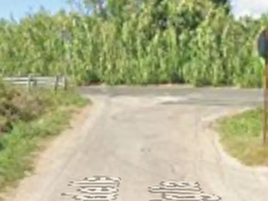 Immagine 13 di Appartamento in vendita  in Via Taglio delle cinque Miglia a Nettuno