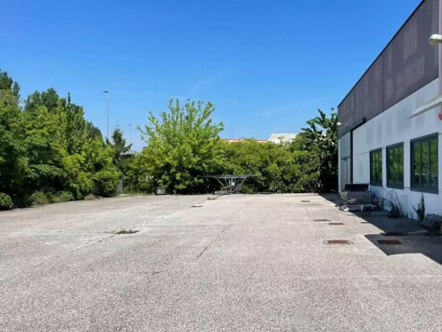 Immagine 9 di Laboratorio in vendita  in Via Donatori di Sangue a Moglia