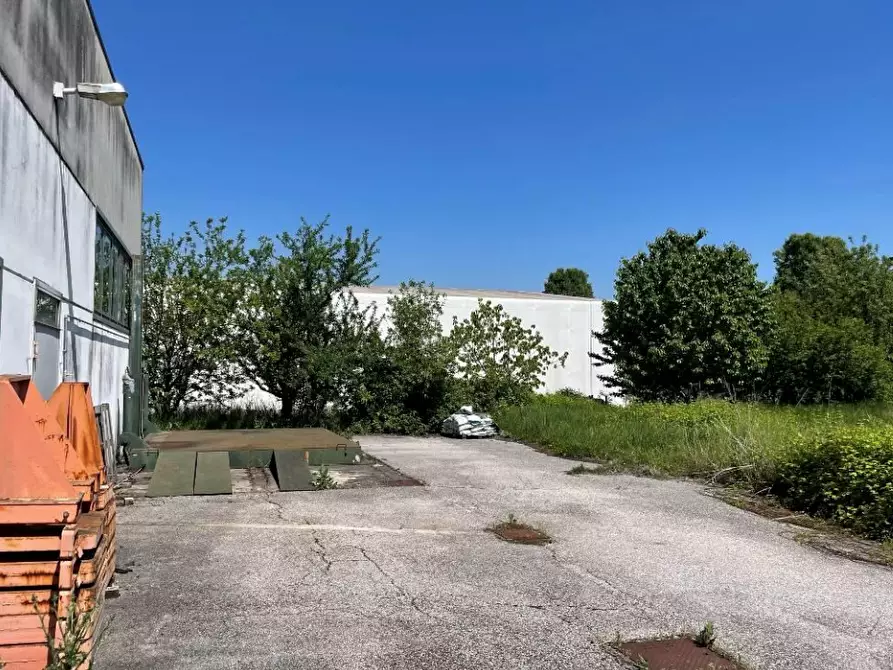 Immagine 10 di Laboratorio in vendita  in Via Donatori di Sangue a Moglia