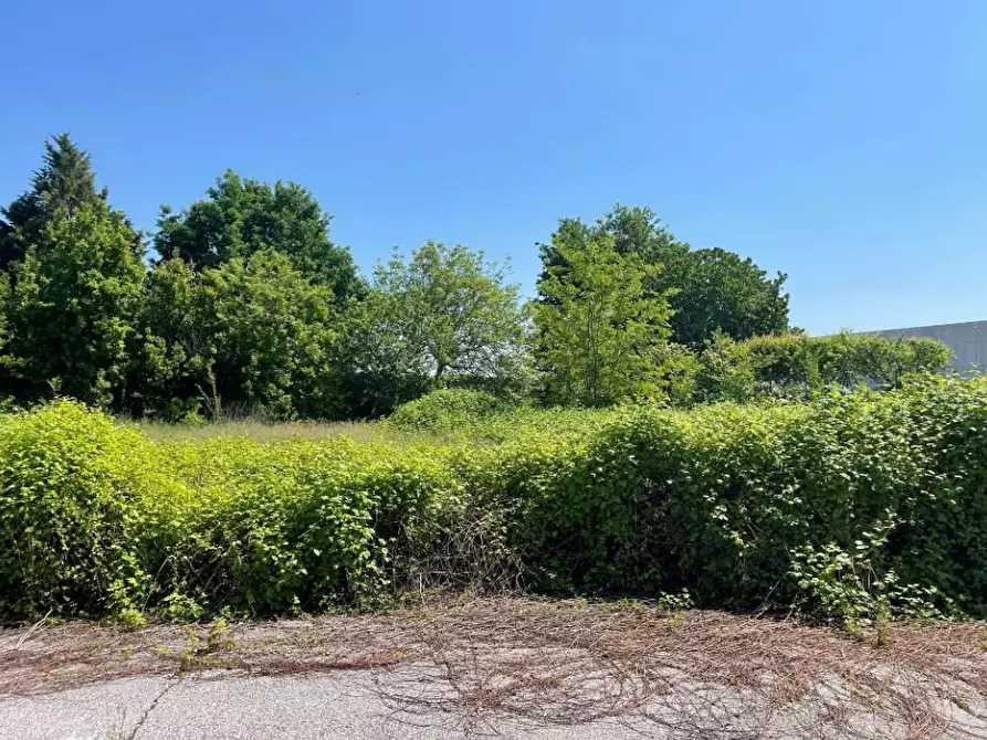Immagine 11 di Laboratorio in vendita  in Via Donatori di Sangue a Moglia