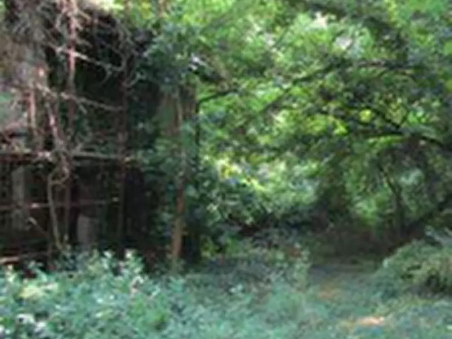 Immagine 4 di Rustico / casale in vendita  in Via Bocca Chiavica  a Gazzuolo