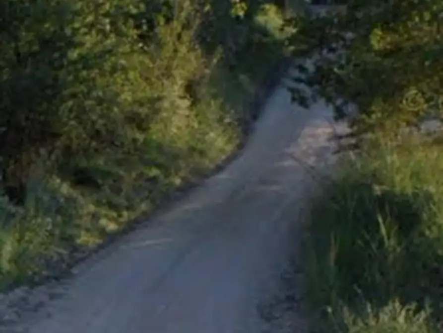 Immagine 3 di Magazzino in vendita  in Via Cà Biagio a Urbino