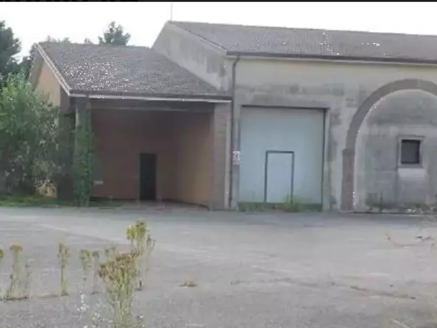 Immagine 6 di Capannone industriale in vendita  in Via Toffanelle Nuove a Zevio