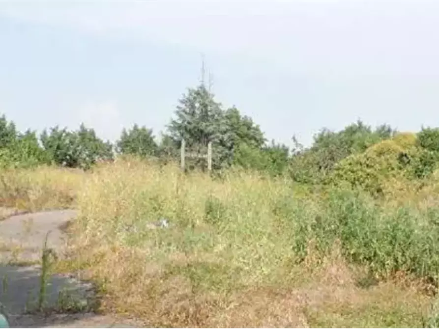 Immagine 10 di Capannone industriale in vendita  in Via Toffanelle Nuove a Zevio