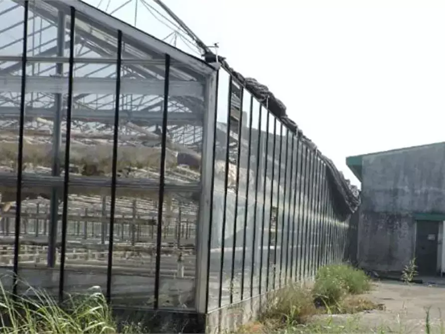 Immagine 12 di Capannone industriale in vendita  in Via Toffanelle Nuove a Zevio