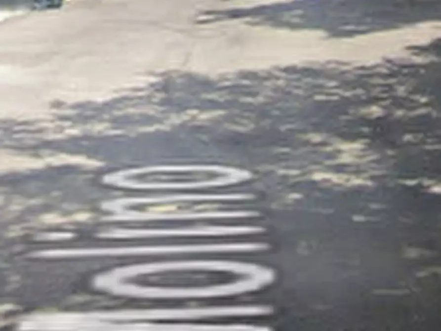 Immagine 11 di Terreno agricolo in vendita  in Via Molino a Dolcè