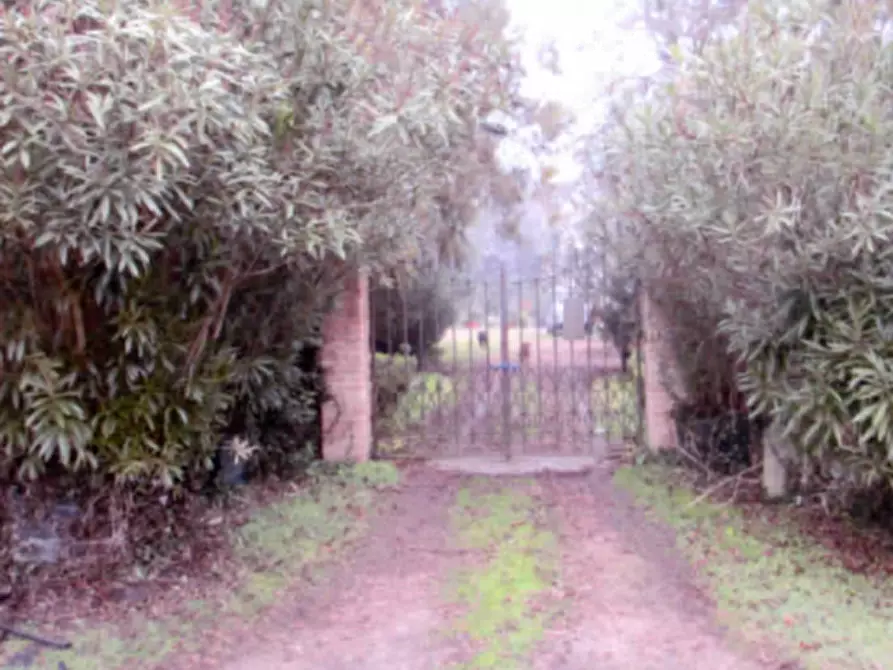 Immagine 4 di Villa in vendita  in Via Roma a Arre