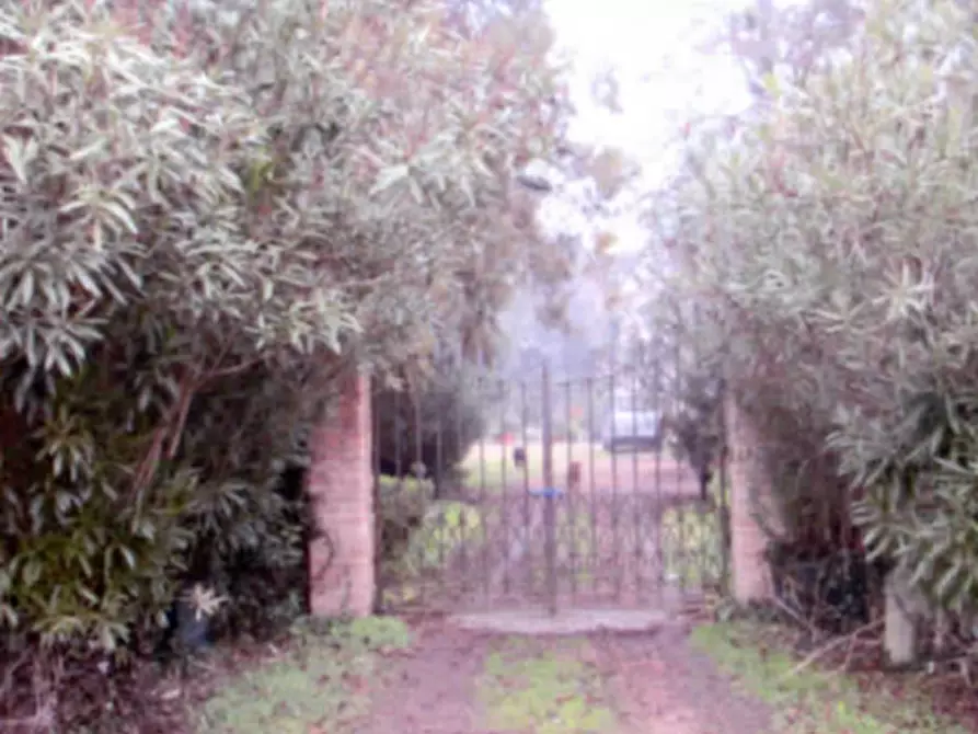 Immagine 15 di Villa in vendita  in Via Roma a Arre