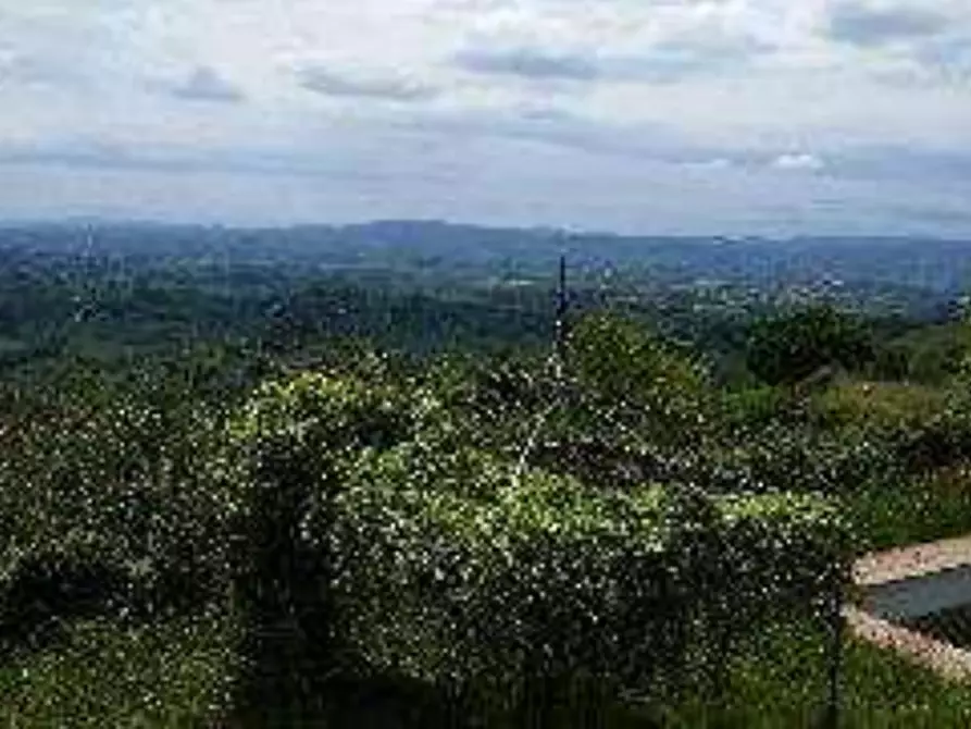 Immagine 5 di Hotel in vendita  in Via Tavolese  a Certaldo