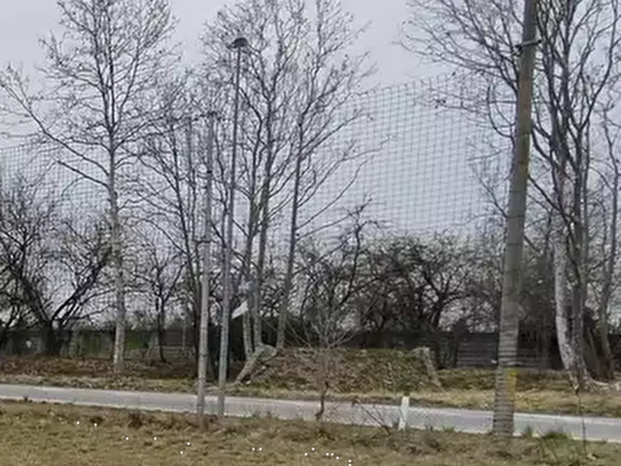 Immagine 2 di Terreno agricolo in vendita  in Via Mortegliano a Mortegliano