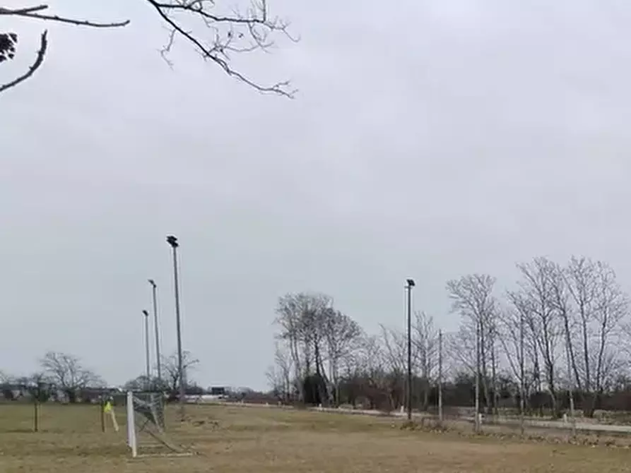 Immagine 3 di Terreno agricolo in vendita  in Via Mortegliano a Mortegliano