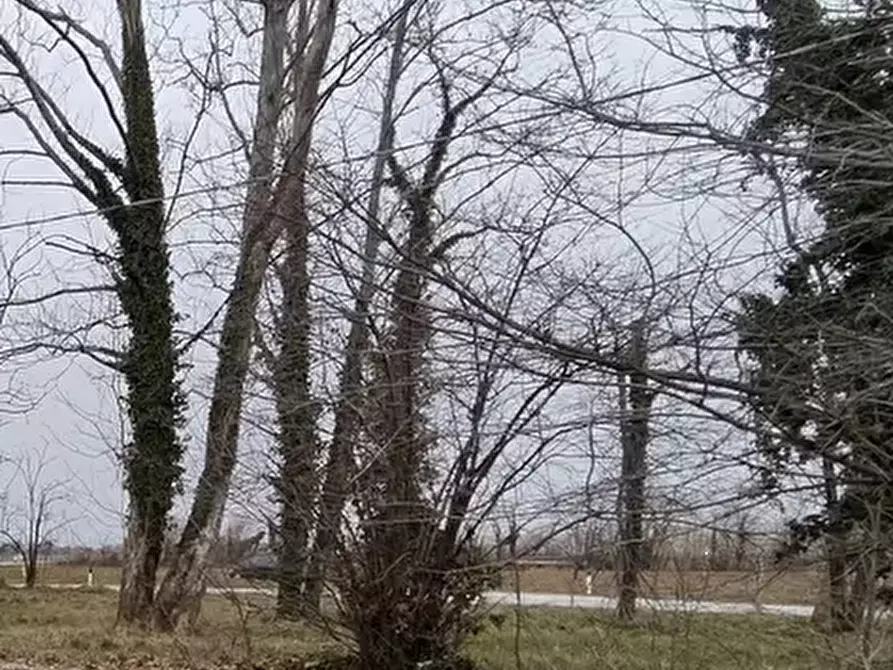Immagine 4 di Terreno agricolo in vendita  in Via Mortegliano a Mortegliano