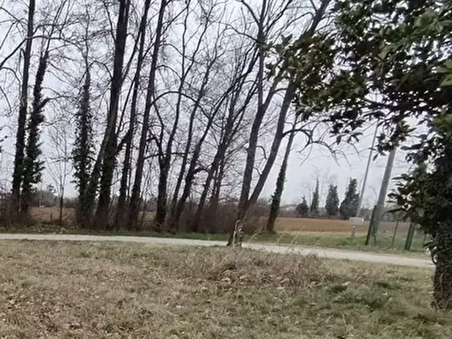 Immagine 5 di Terreno agricolo in vendita  in Via Mortegliano a Mortegliano