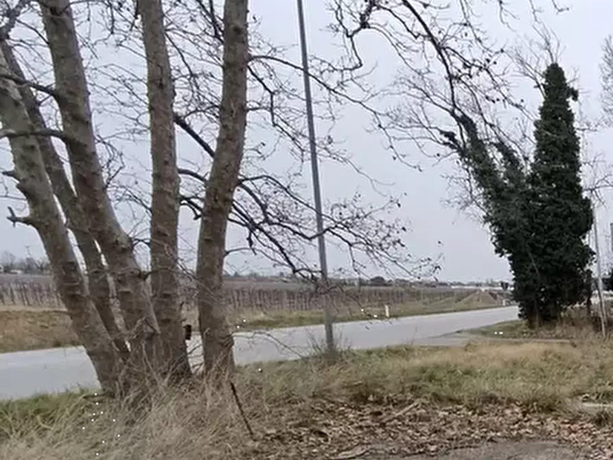 Immagine 6 di Terreno agricolo in vendita  in Via Mortegliano a Mortegliano