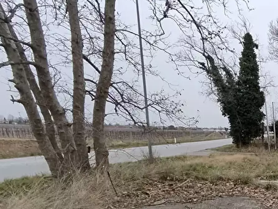 Immagine 7 di Terreno agricolo in vendita  in Via Mortegliano a Mortegliano
