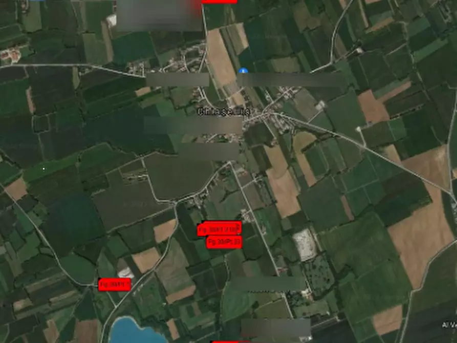 Immagine 9 di Terreno agricolo in vendita  in Via Mortegliano a Mortegliano