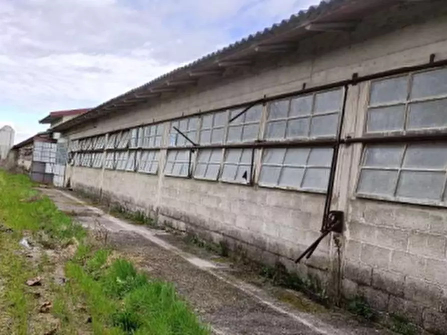 Immagine 1 di Azienda agricola in vendita  in Via Bando  a Porpetto