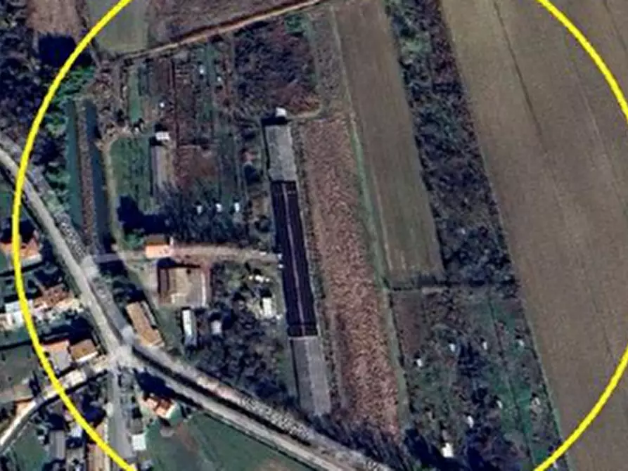 Immagine 8 di Azienda agricola in vendita  in Via Bando  a Porpetto