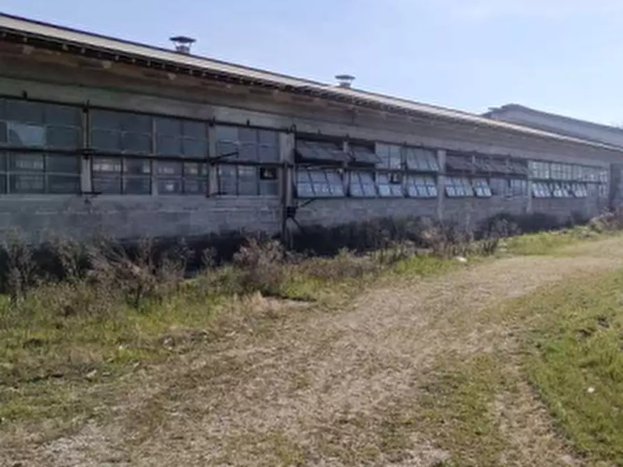 Immagine 11 di Azienda agricola in vendita  in Via Bando  a Porpetto