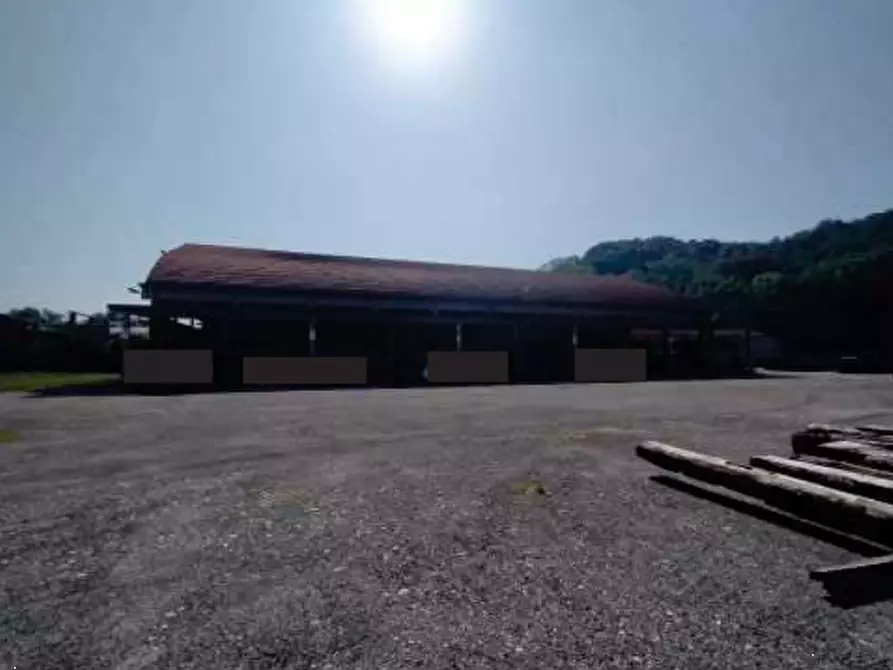 Immagine 2 di Capannone industriale in vendita  in Via Ferraro Primo a San Zenone Degli Ezzelini