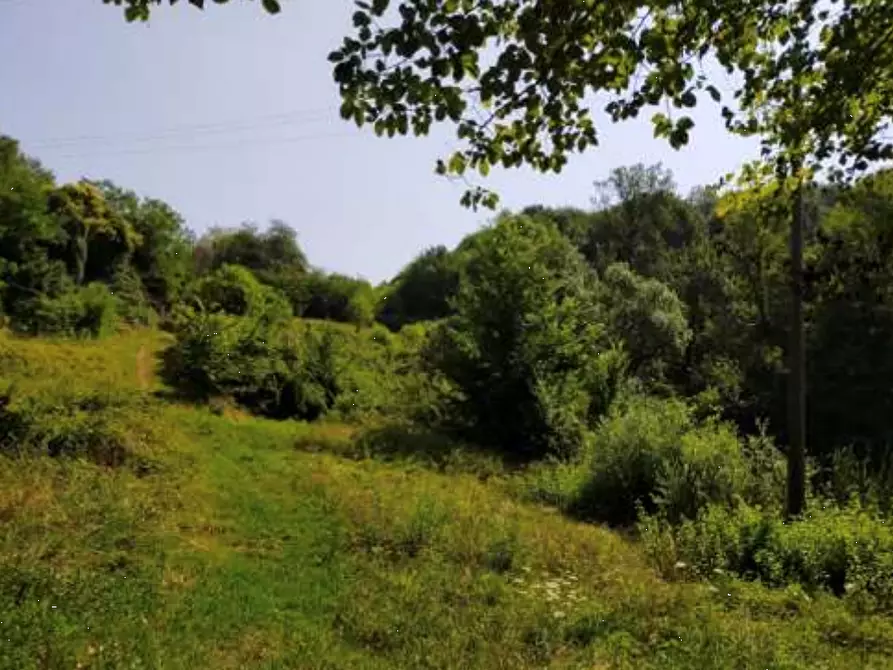 Immagine 2 di Terreno agricolo in vendita  in  Via Ferraro Primo a San Zenone Degli Ezzelini