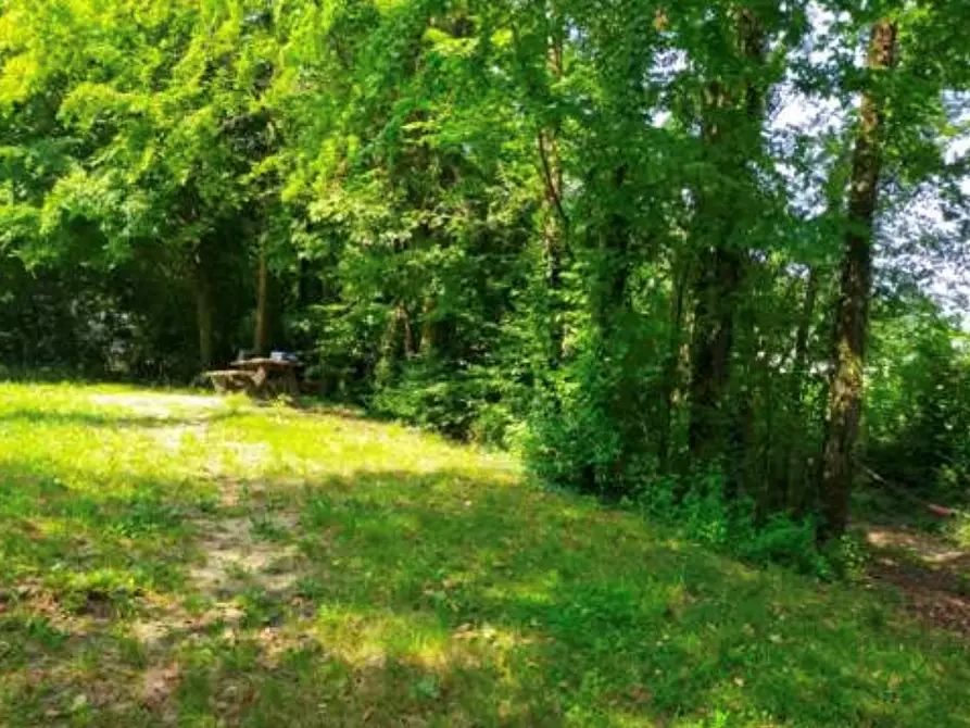 Immagine 1 di Terreno agricolo in vendita  in  Via Ferraro Primo a San Zenone Degli Ezzelini