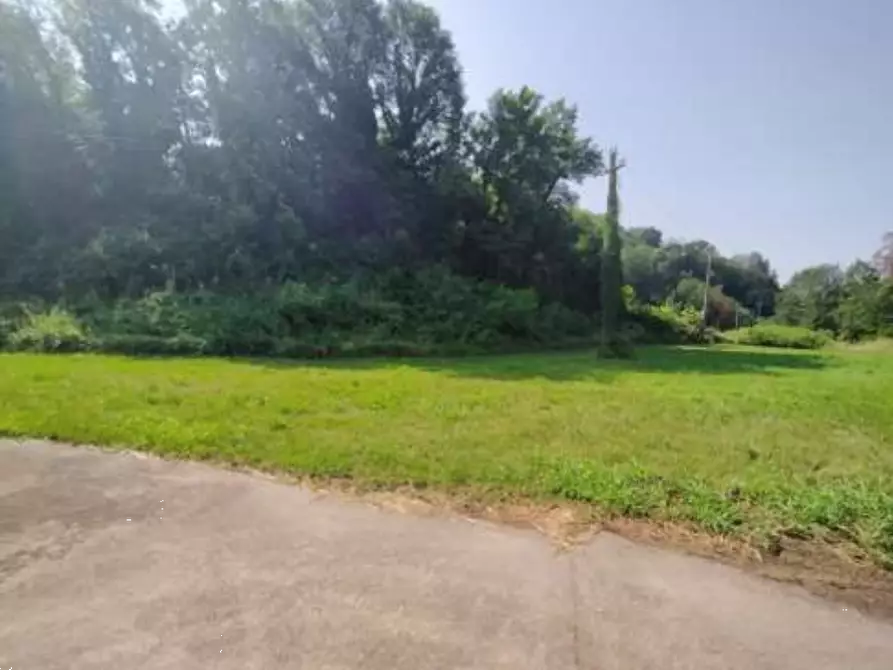 Immagine 3 di Terreno agricolo in vendita  in  Via Ferraro Primo a San Zenone Degli Ezzelini