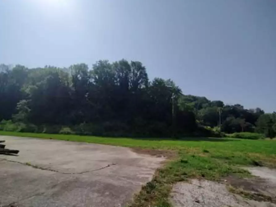 Immagine 4 di Terreno agricolo in vendita  in  Via Ferraro Primo a San Zenone Degli Ezzelini