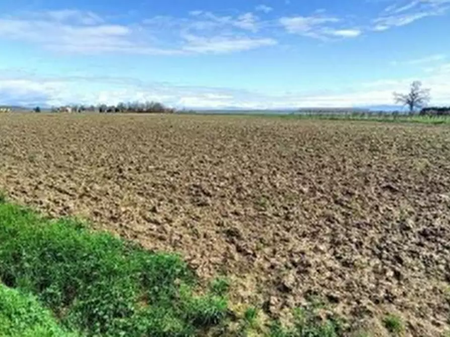 Immagine 1 di Terreno agricolo in vendita  in Via Bando  a Porpetto
