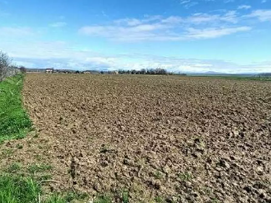 Immagine 4 di Terreno agricolo in vendita  in Via Bando  a Porpetto