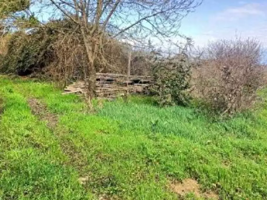 Immagine 5 di Terreno agricolo in vendita  in Via Bando  a Porpetto