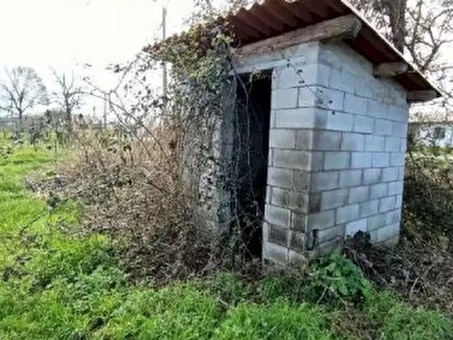 Immagine 6 di Terreno agricolo in vendita  in Via Bando  a Porpetto