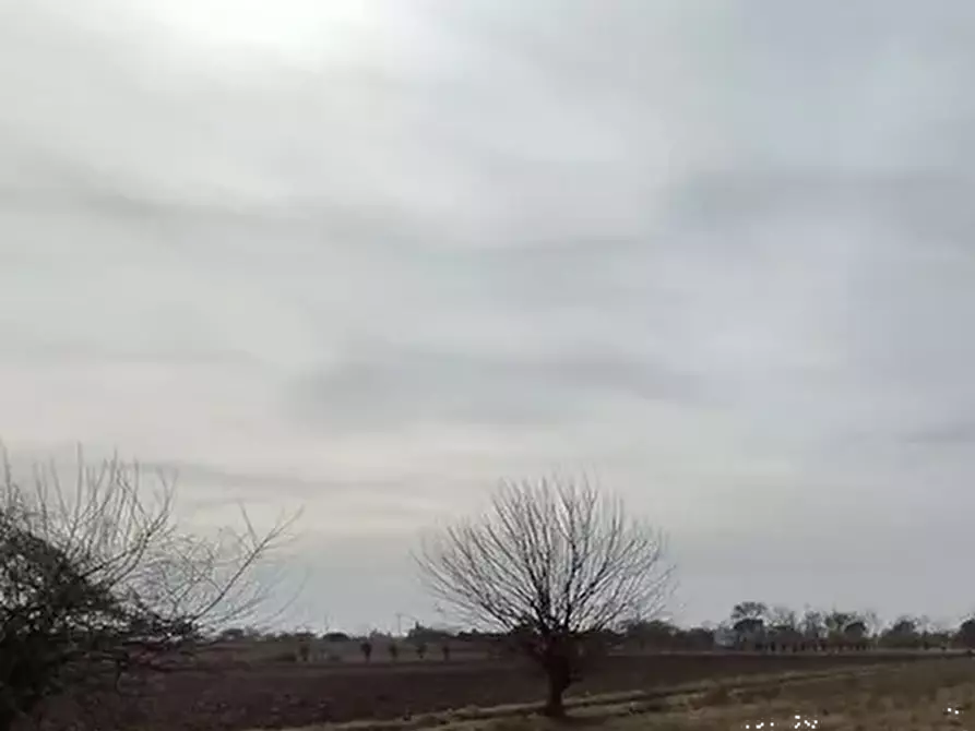 Immagine 1 di Terreno agricolo in vendita  in Via Castions a Castions Di Strada