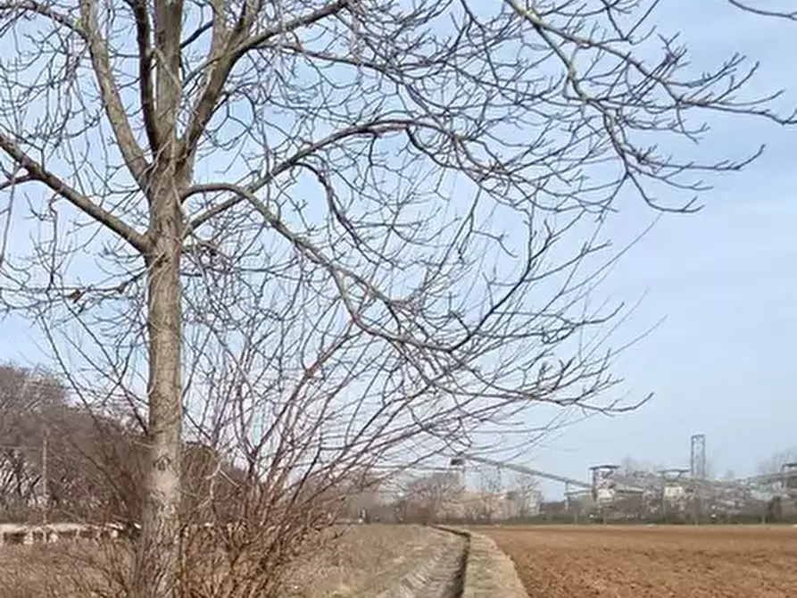 Immagine 4 di Terreno agricolo in vendita  in Via Castions a Castions Di Strada