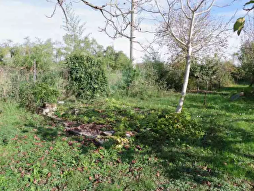 Immagine 3 di Villa in vendita  in Via G. Pascoli a Ponzano Veneto