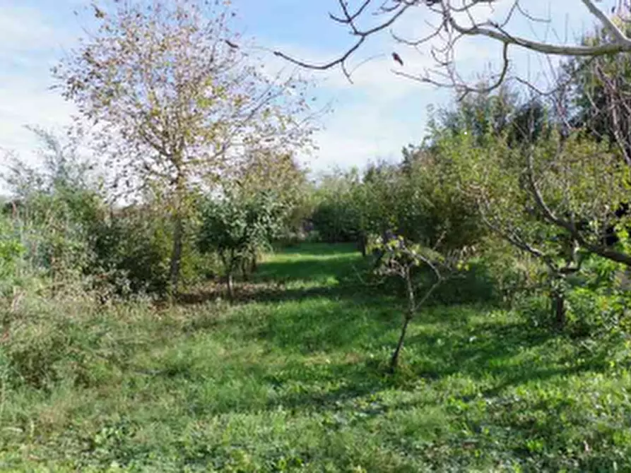 Immagine 14 di Villa in vendita  in Via G. Pascoli a Ponzano Veneto