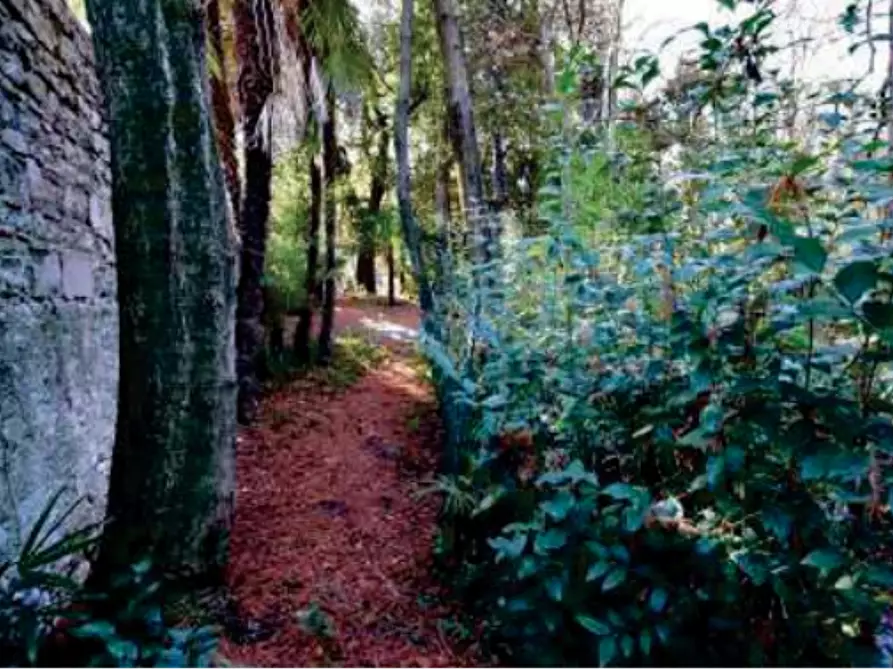 Immagine 18 di Stabile in vendita  in Viale Camillo Cavour a Vittorio Veneto