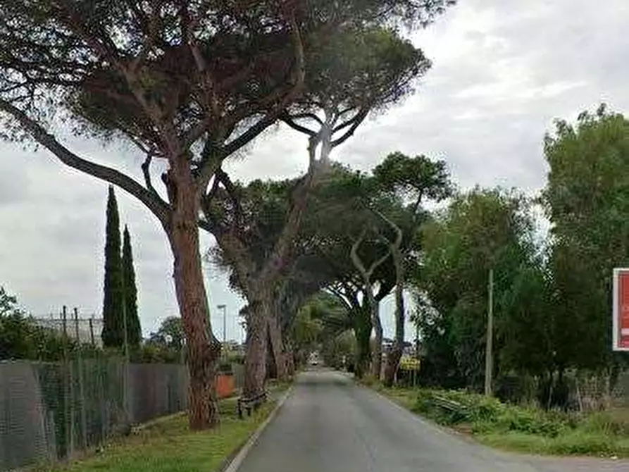Immagine 14 di Villa in vendita  in Via Campo di Carne a Ardea