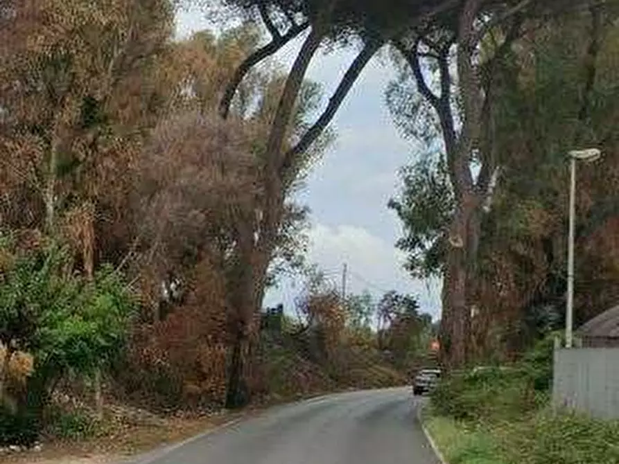 Immagine 15 di Villa in vendita  in Via Campo di Carne a Ardea
