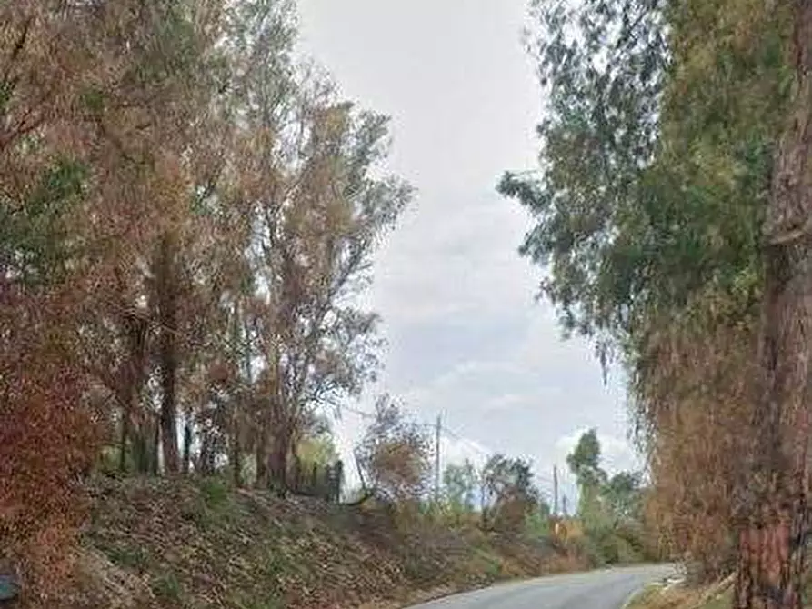 Immagine 16 di Villa in vendita  in Via Campo di Carne a Ardea