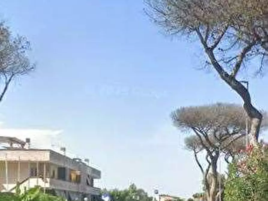 Immagine 5 di Negozio in vendita  in Via delle Pinete a Ardea